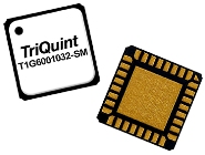 TriQuint T1G6001032-SM 10W GaN Transistor